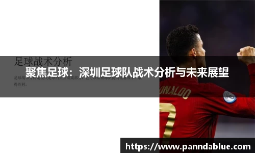 聚焦足球：深圳足球队战术分析与未来展望